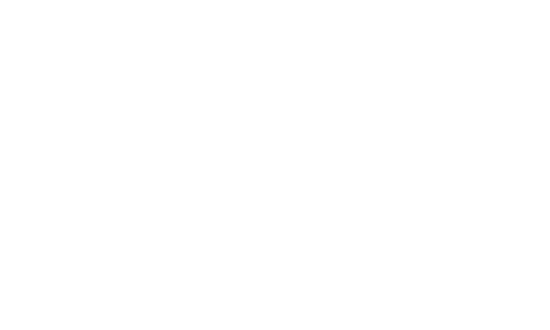 vitesse-logo-final2